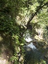 La Vaioaga waterfall at Cheile Nerei National Park, Romania Royalty Free Stock Photo